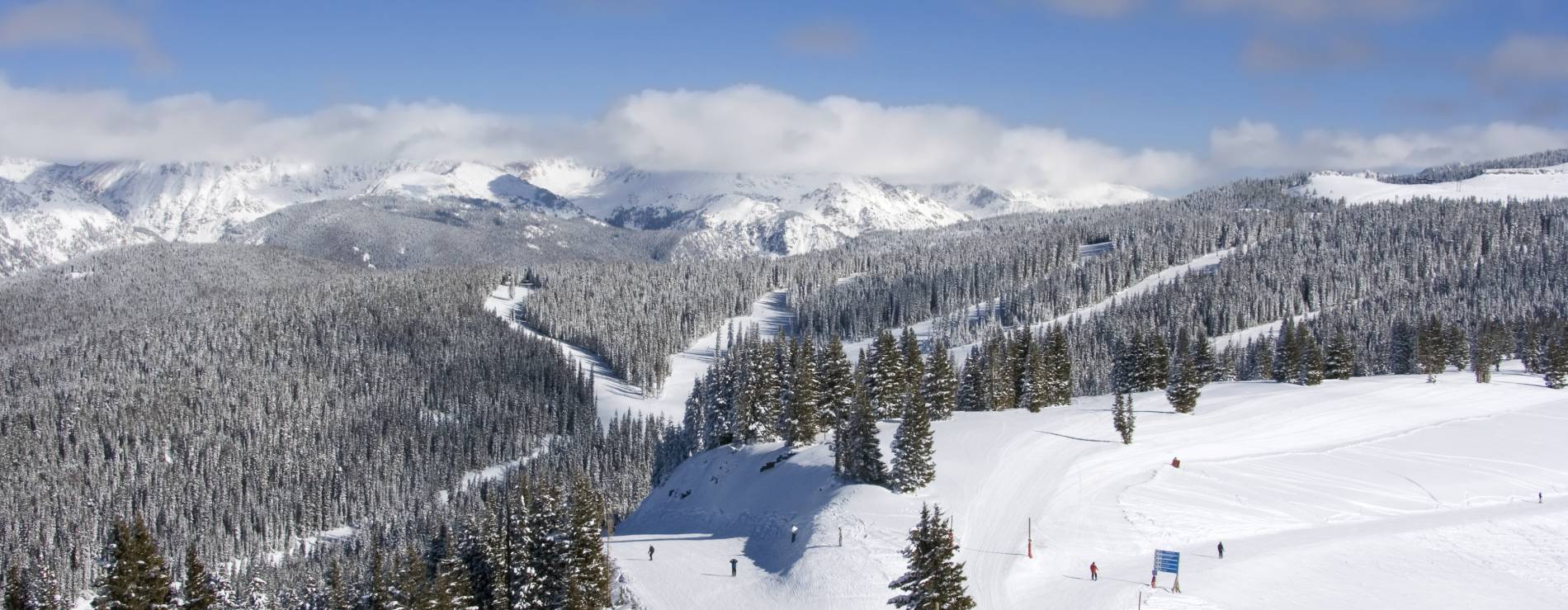 Luxury Beaver Creek Rentals | Elevation Accommodations